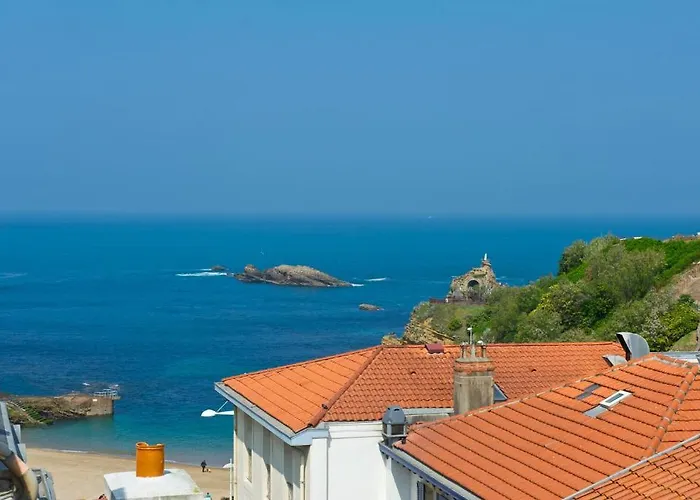 阿利扎斯酒店 酒店 2*